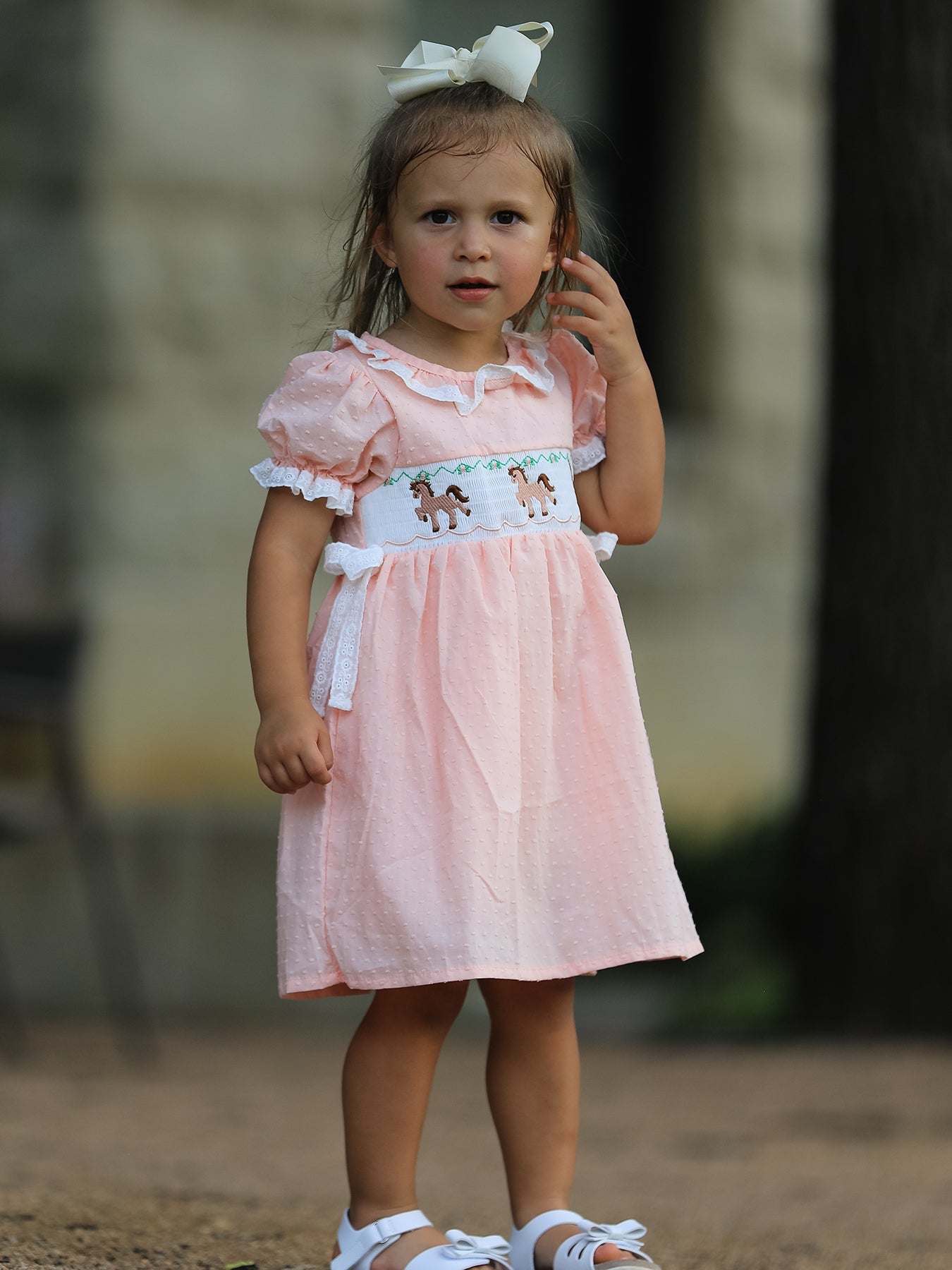 Western Horse Embroidery Girls Dress Lace Petals Collar Puff Sleeve - Bexa Boutique