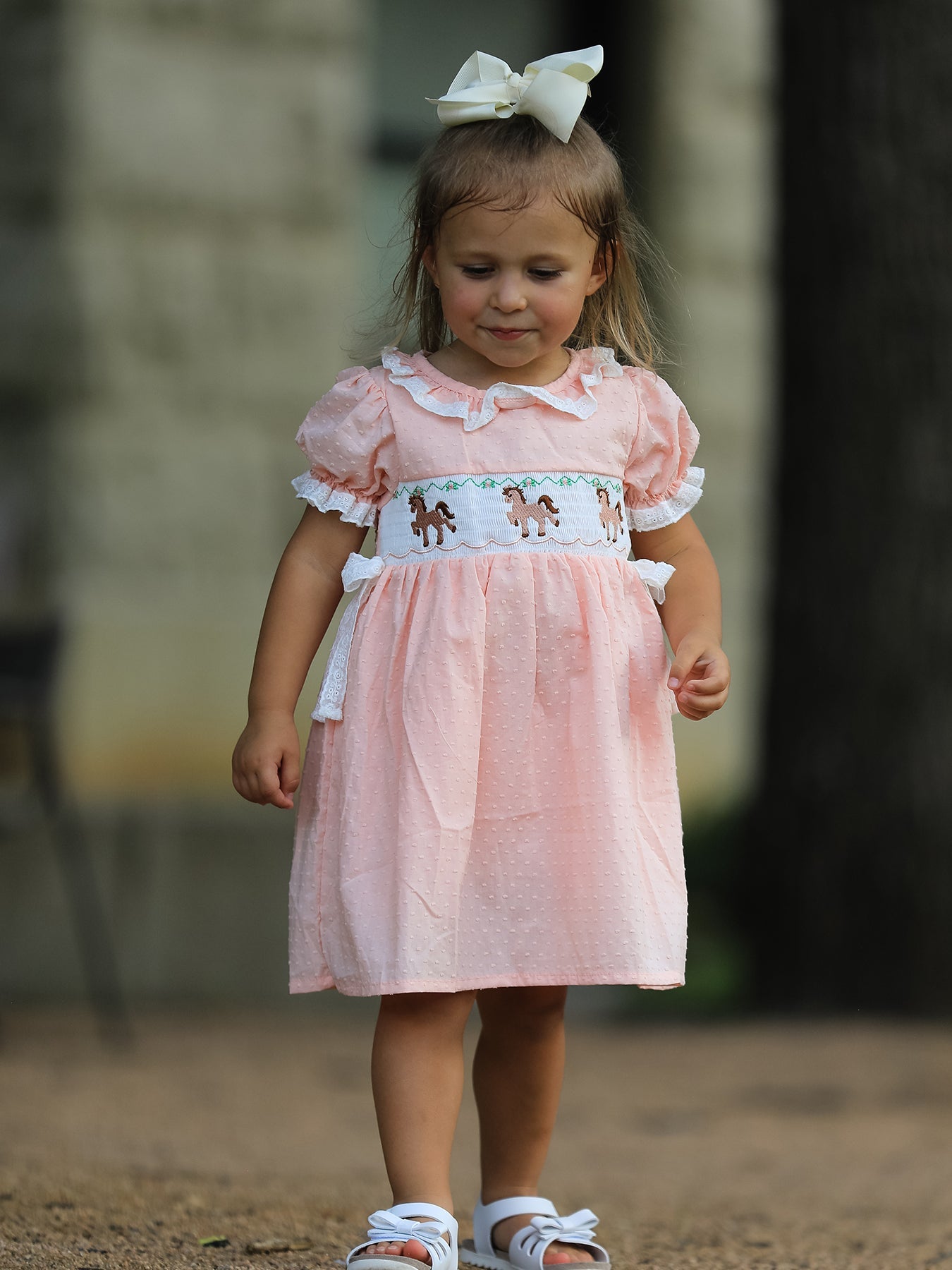 Western Horse Embroidery Girls Dress Lace Petals Collar Puff Sleeve - Bexa Boutique