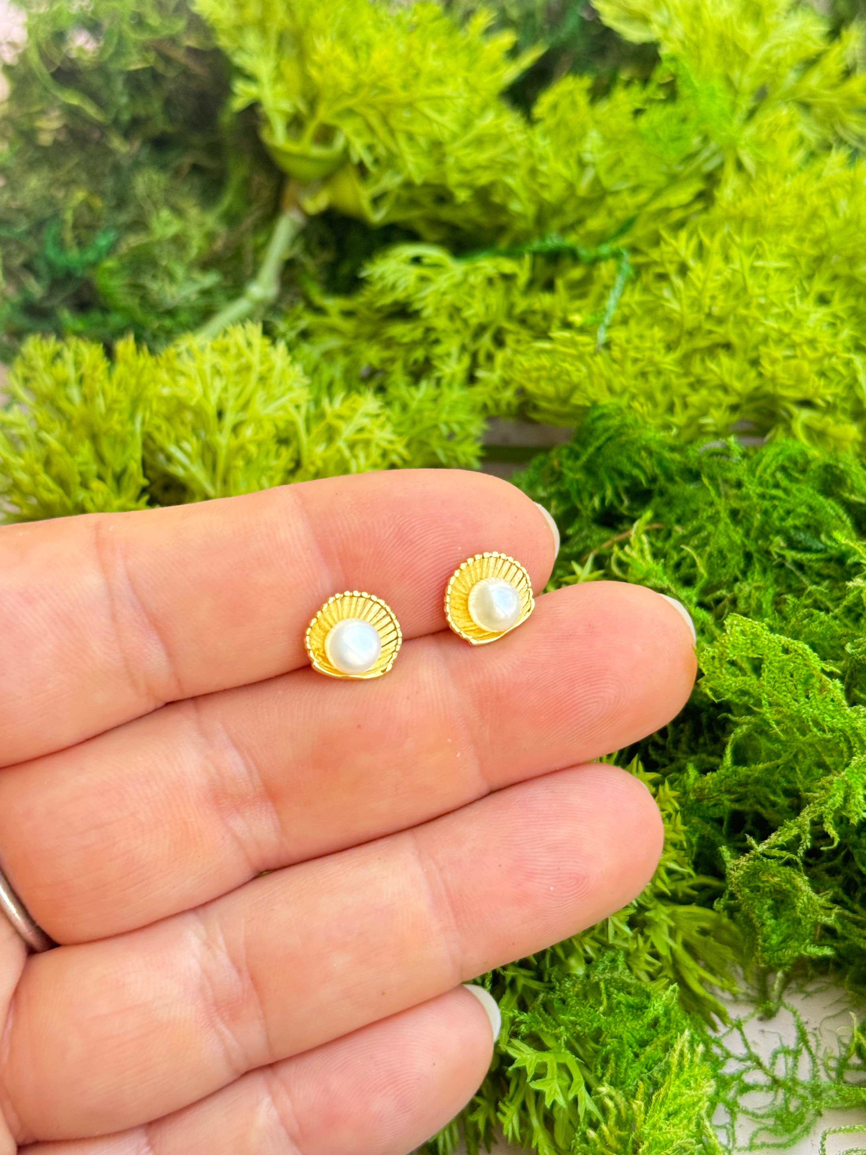 Shell & Pearl Studs - Bexa Boutique