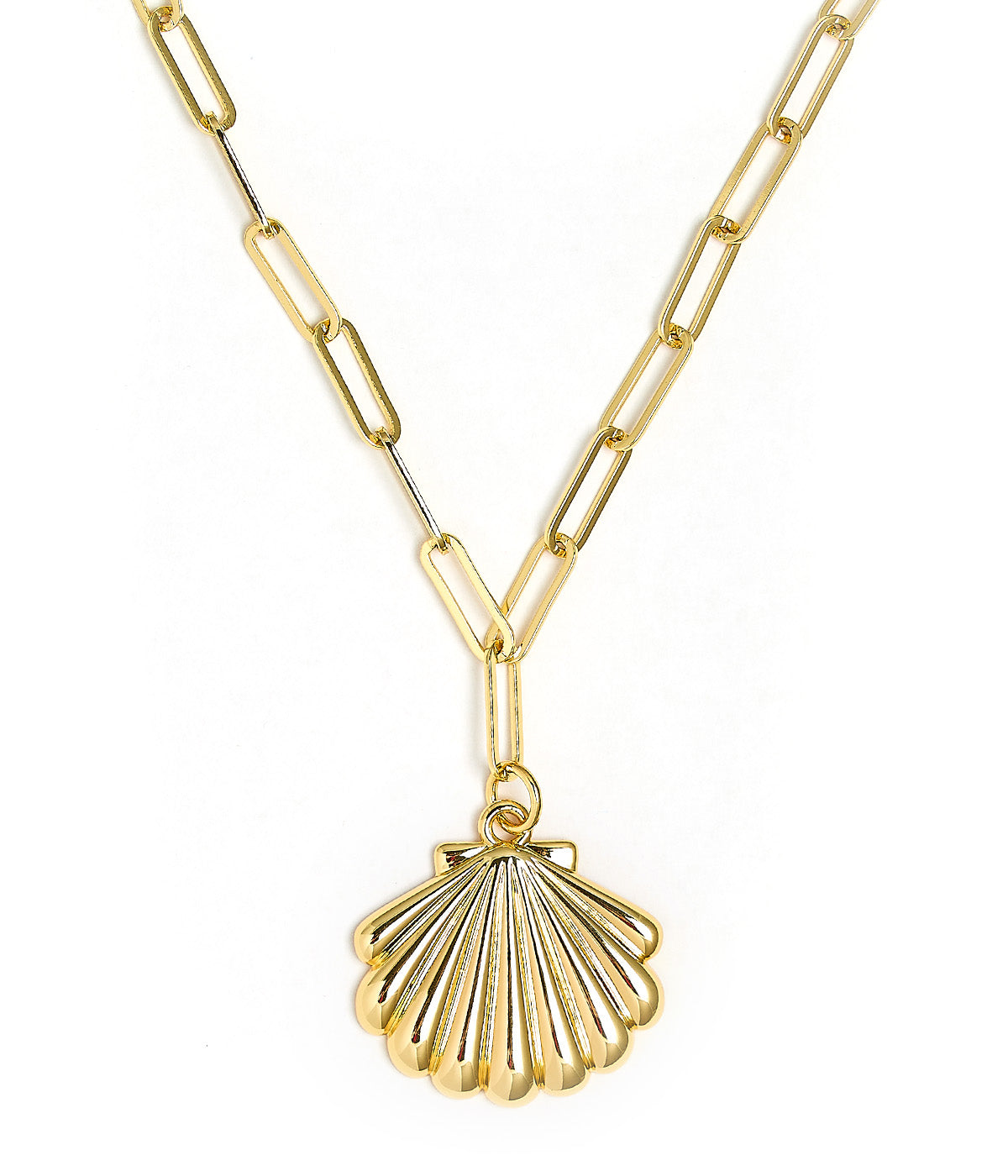 Puffy Scallop Shell Necklace with paper clip chain - 18k Plated Necklace - Bexa Boutique