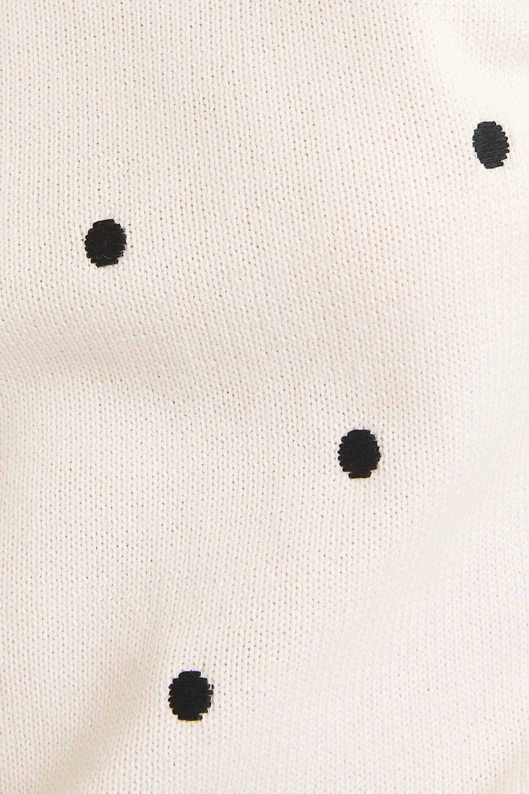 POLKA DOT EMBROIDERED SWEATER