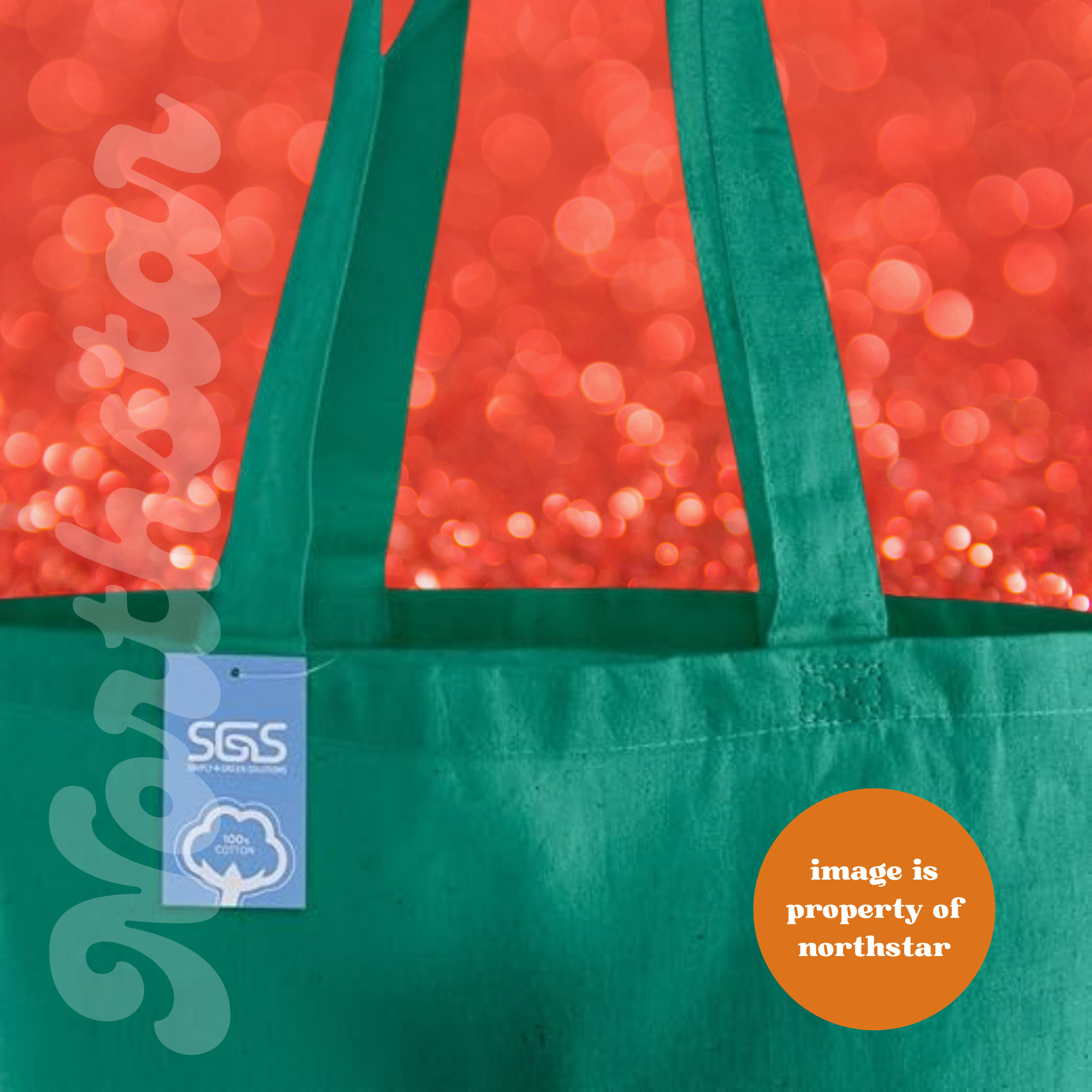 Life of a Showgirl Graphic Tote