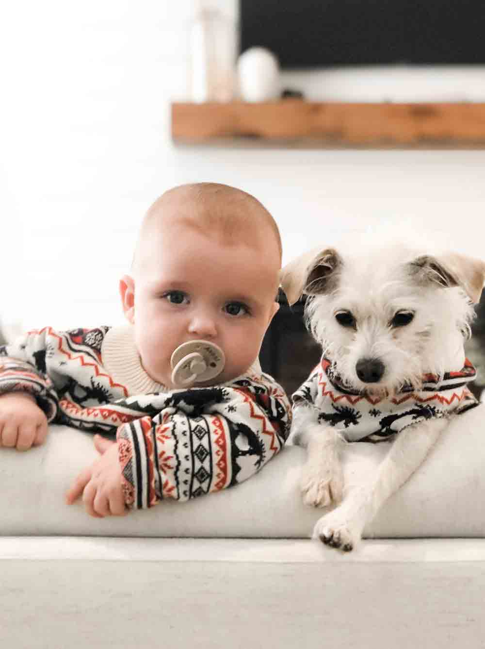 The Great Yukon Sweater (Dog & Kid Sizes Only)