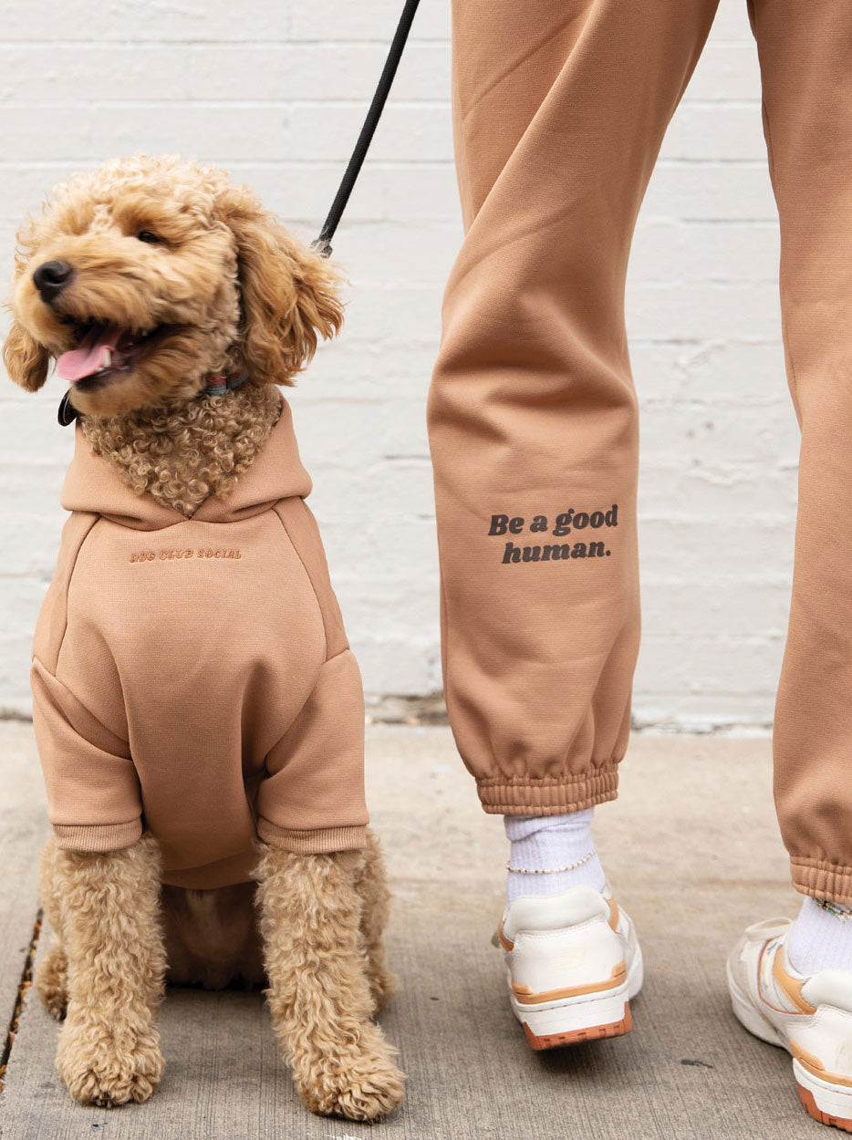 Fleece Jogger (Adult)