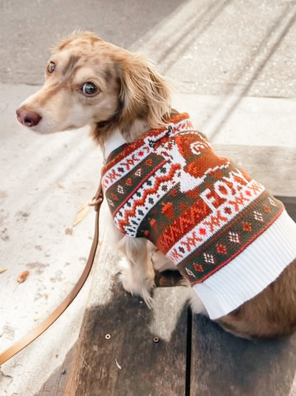 Foxy Sweater
