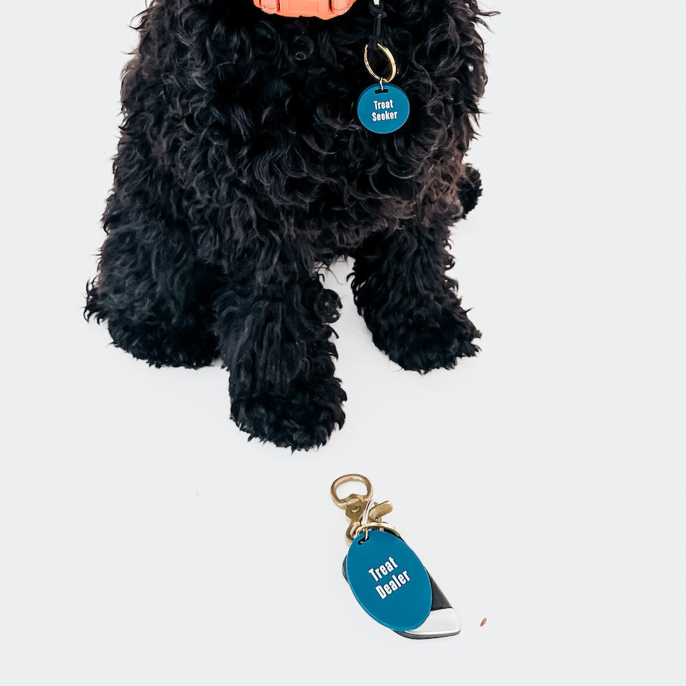Gus & Co - Dog Tag and Keychain Set