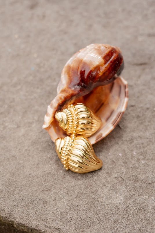 James Conch Shell Earring - 18k Plated Gold - Belle of the Ball Collection - Bexa Boutique