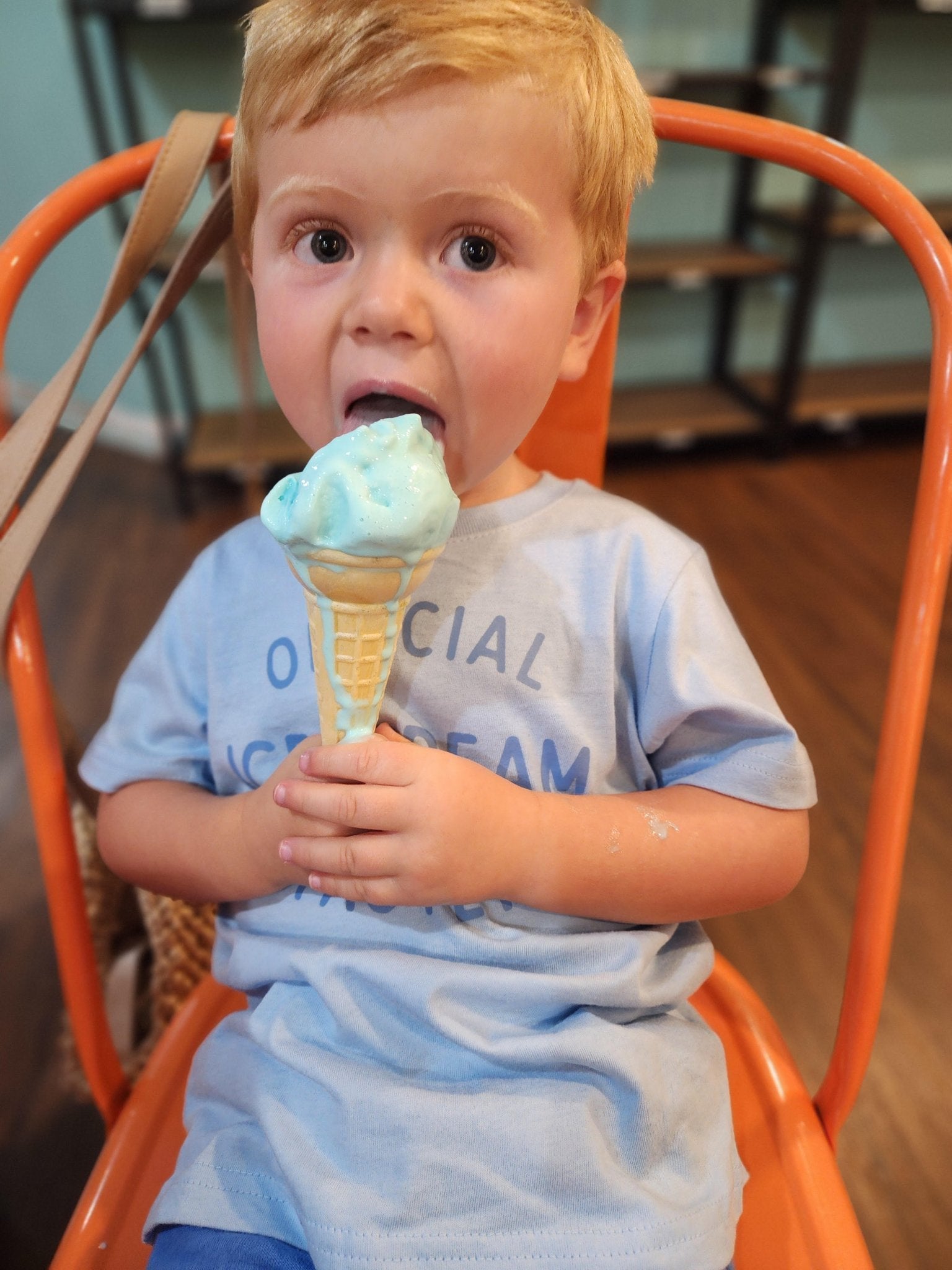 Official Ice Cream Taster Kids Graphic Tee, Cotton Summer T-Shirt